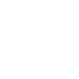 India icon