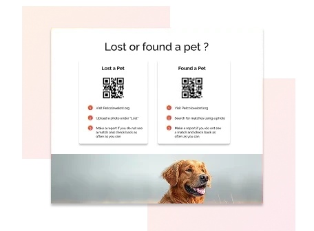 Lost Found Alerts