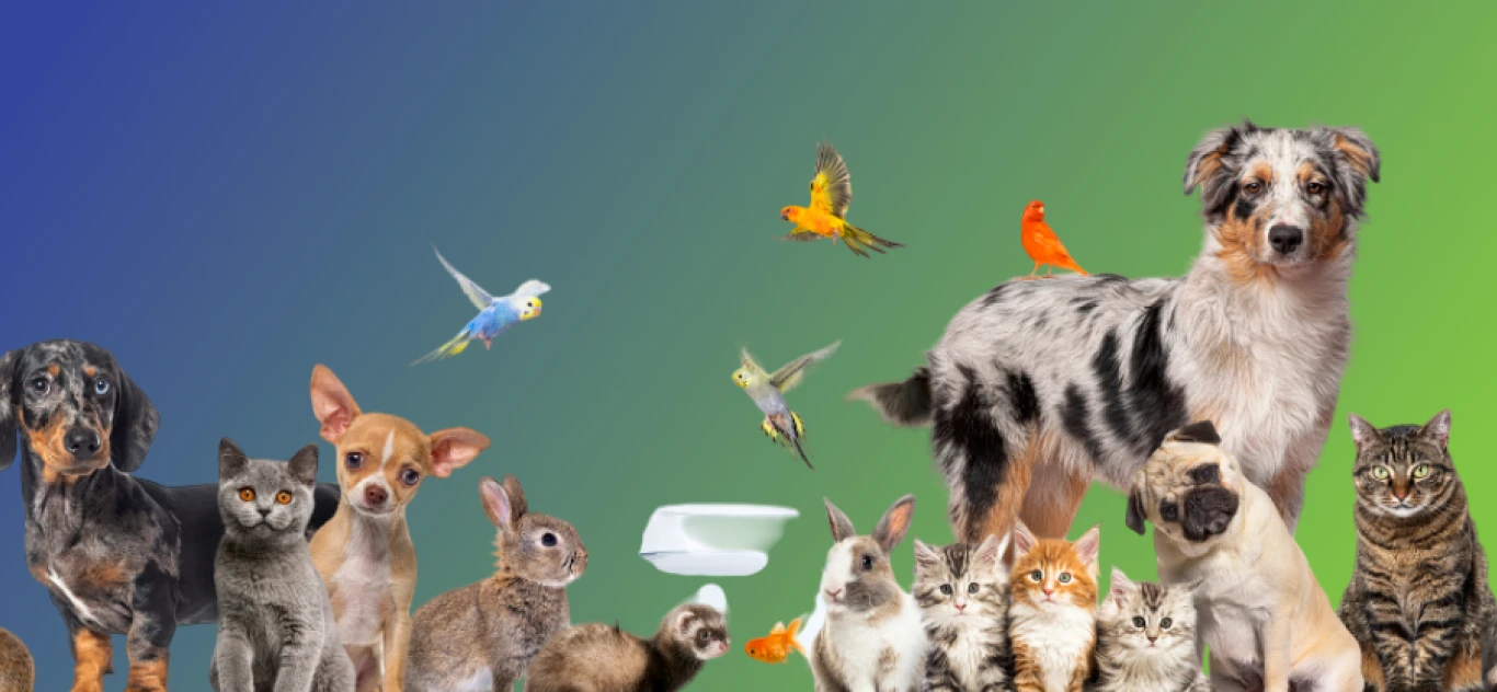 Petzone pets image