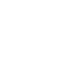 Saudi Arabia icon