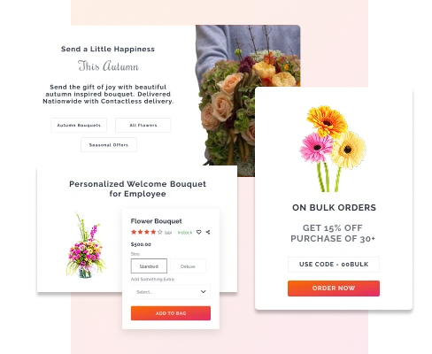 Seasonal Promotions and Dynamic Pricing - Canada